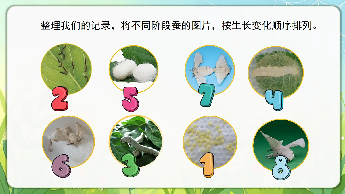 18390600第7页