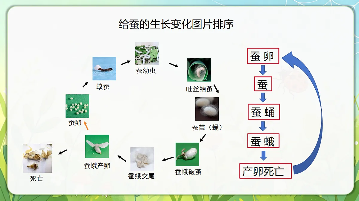 18390600第8页