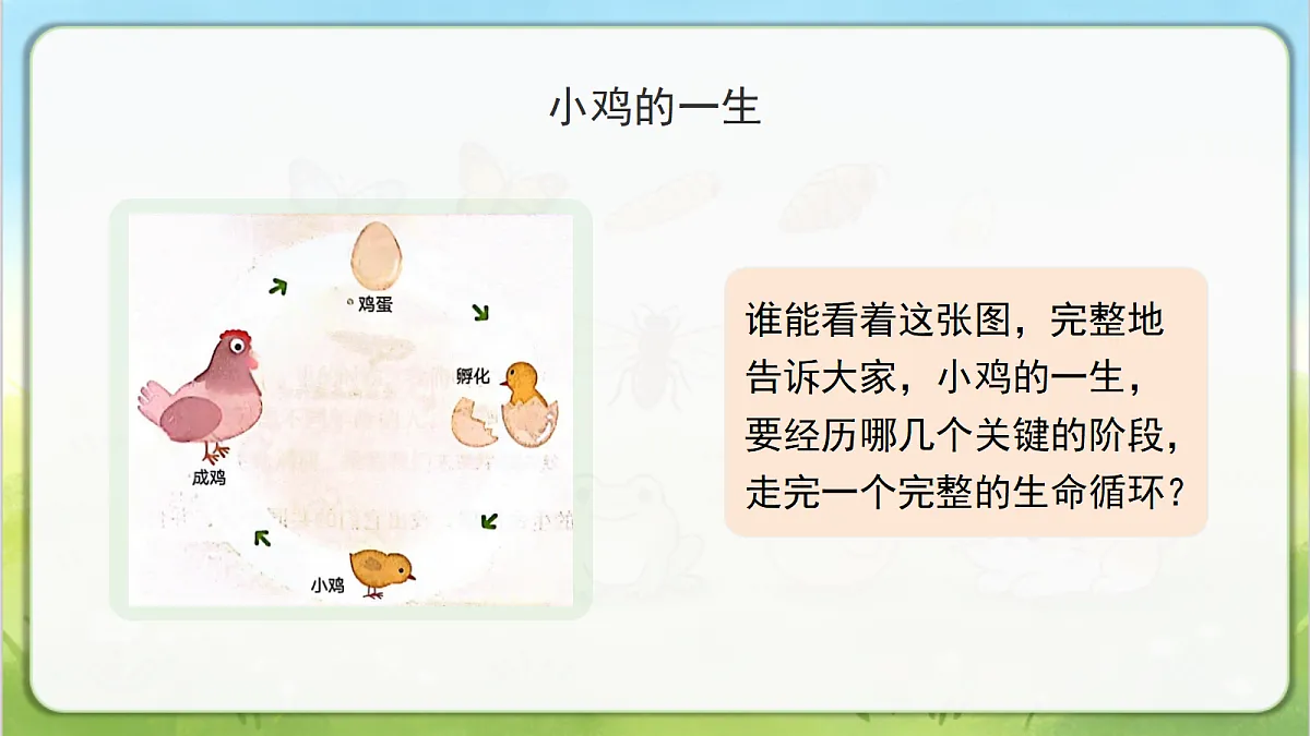 18390601第3页