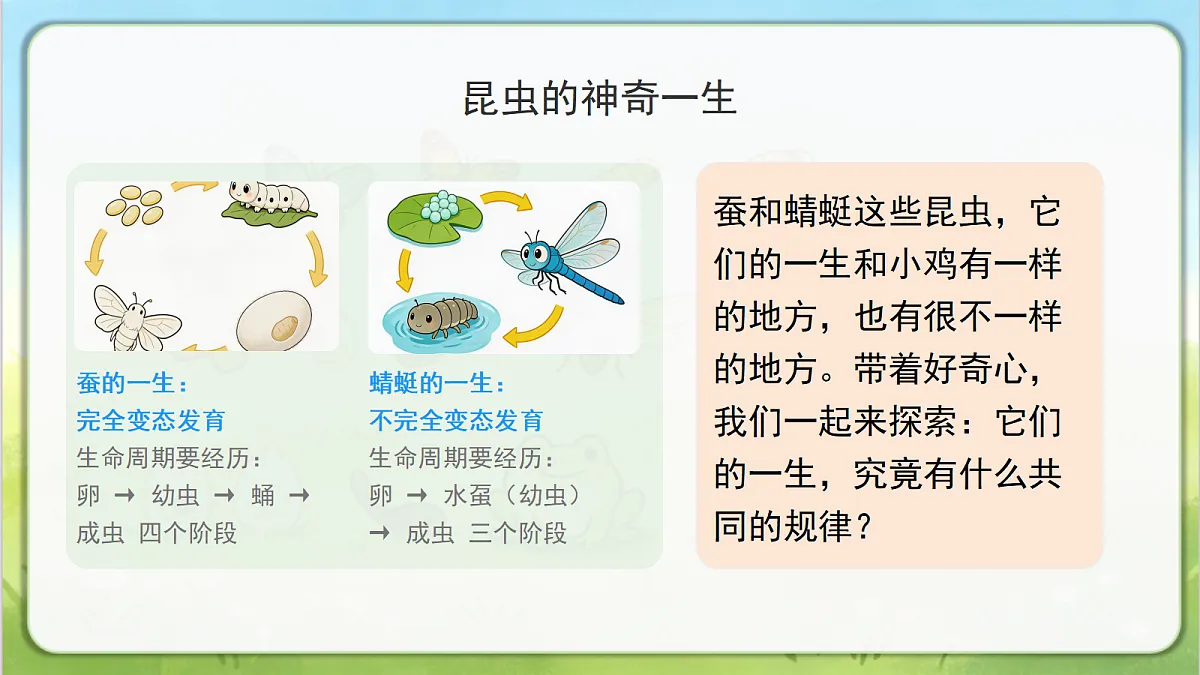 18390601第4页