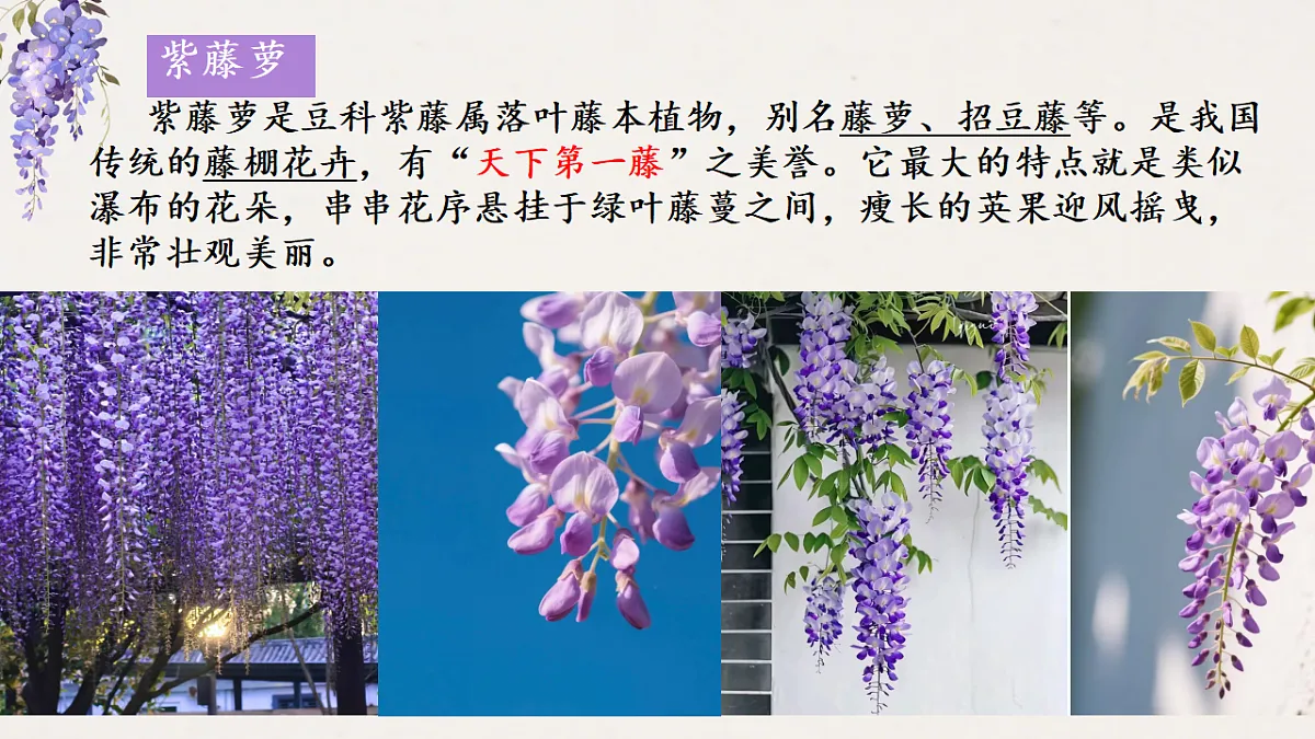 18391296第2页