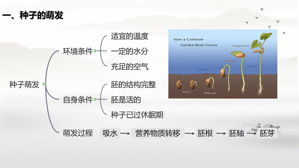 18391347第3页