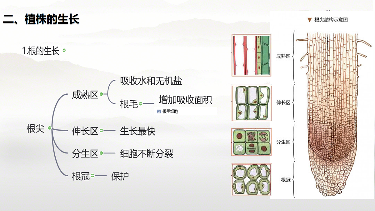 18391347第4页