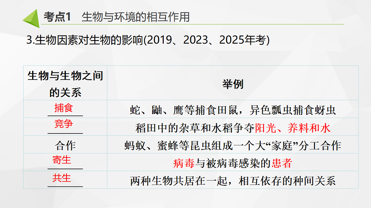 18391578第4页
