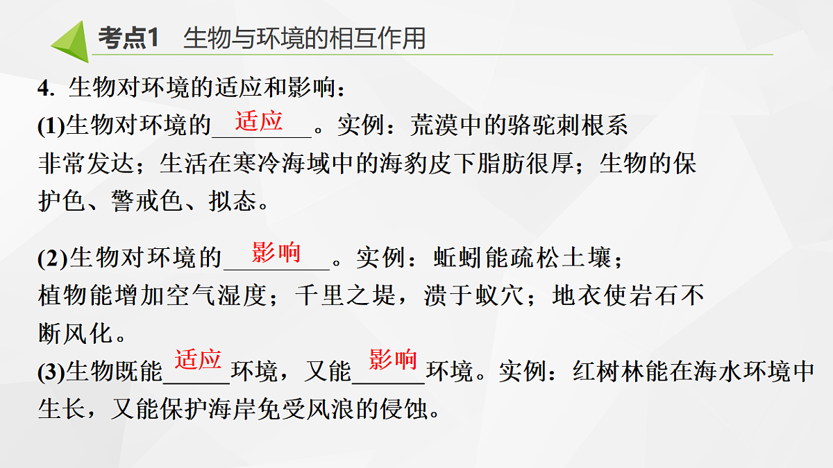 18391578第5页