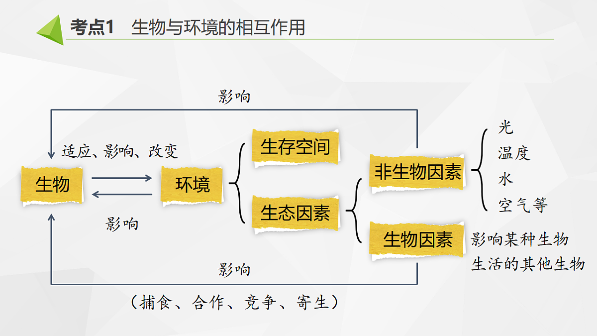 18391578第6页