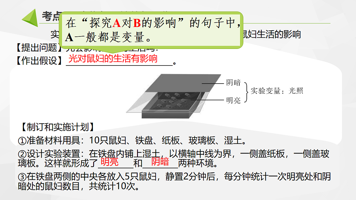 18391578第7页