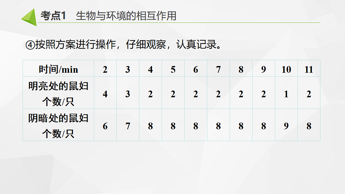 18391578第8页
