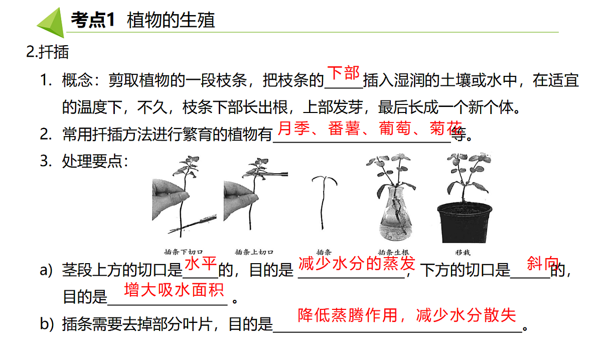18391717第3页
