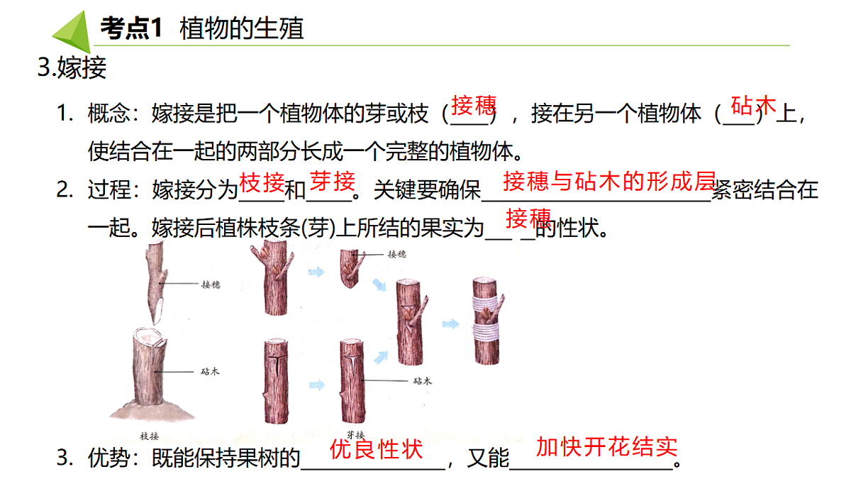 18391717第4页