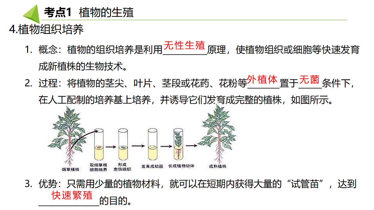18391717第5页