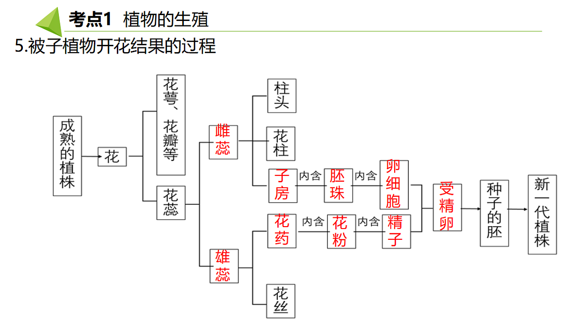 18391717第6页