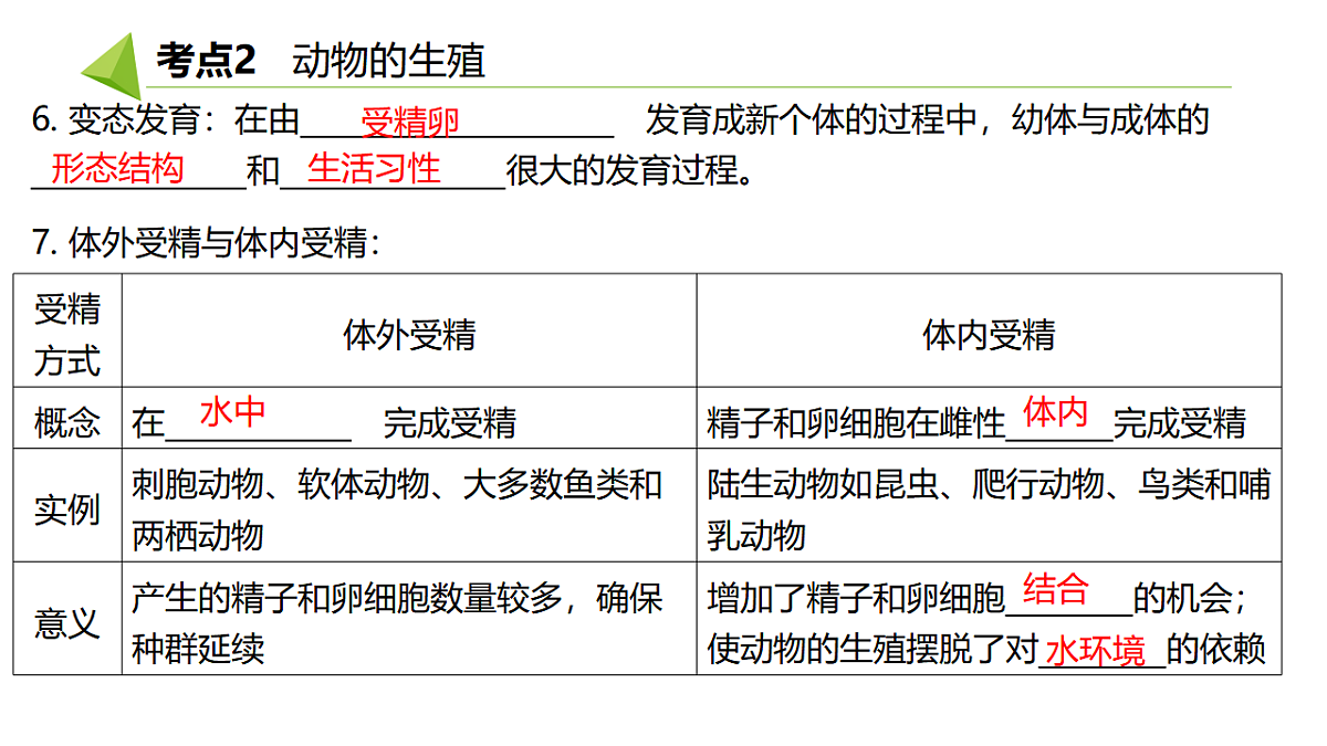 18391717第7页