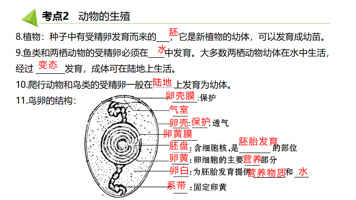 18391717第8页