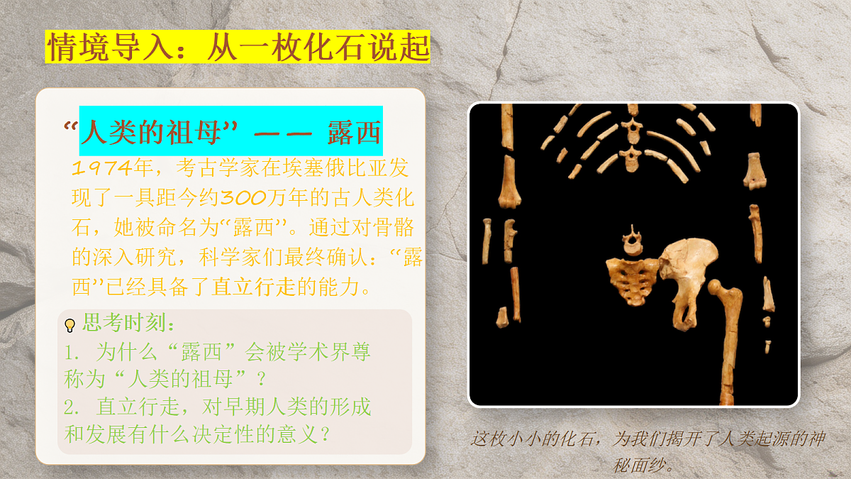 18391732第2页