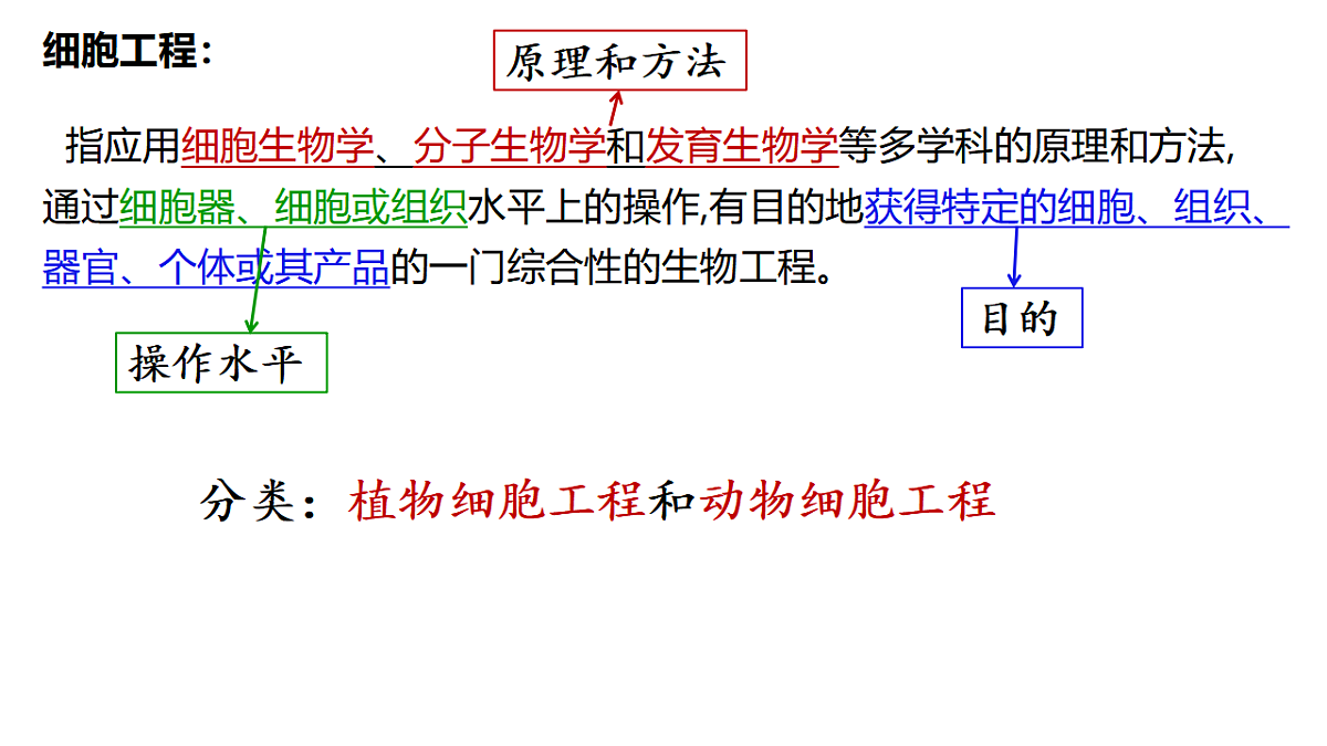 18393220第1页