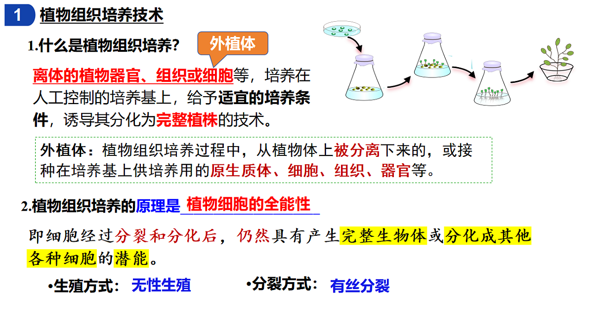 18393220第5页
