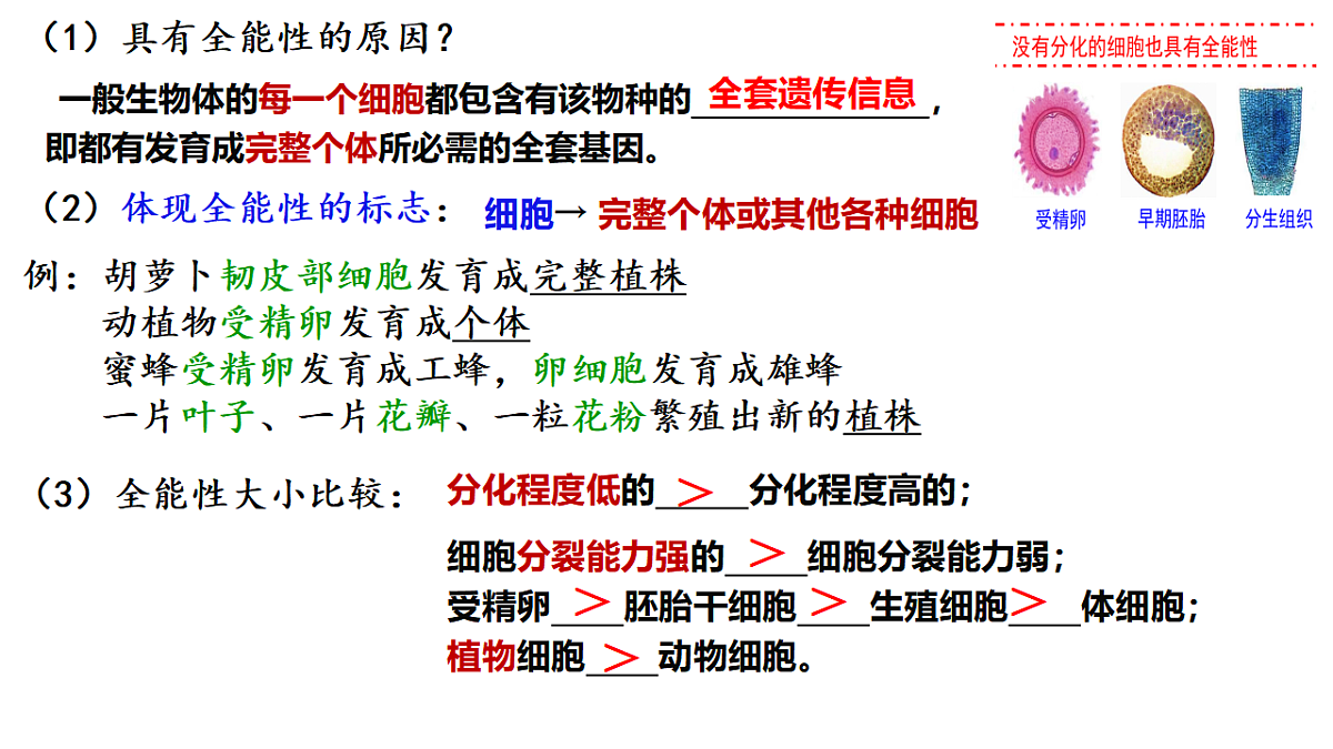 18393220第6页