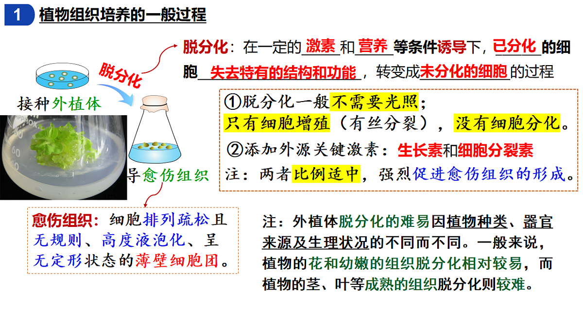 18393220第8页