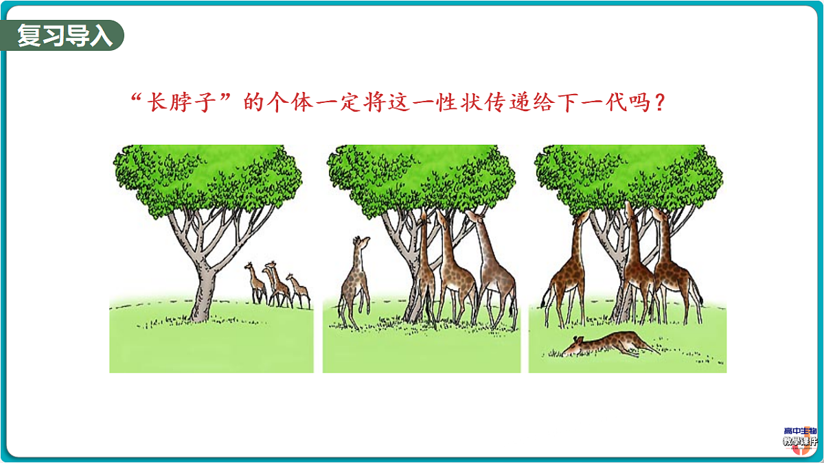 18393222第3页