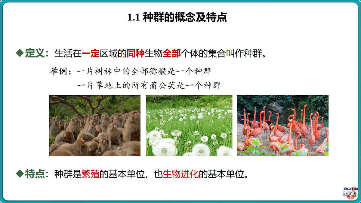 18393222第5页