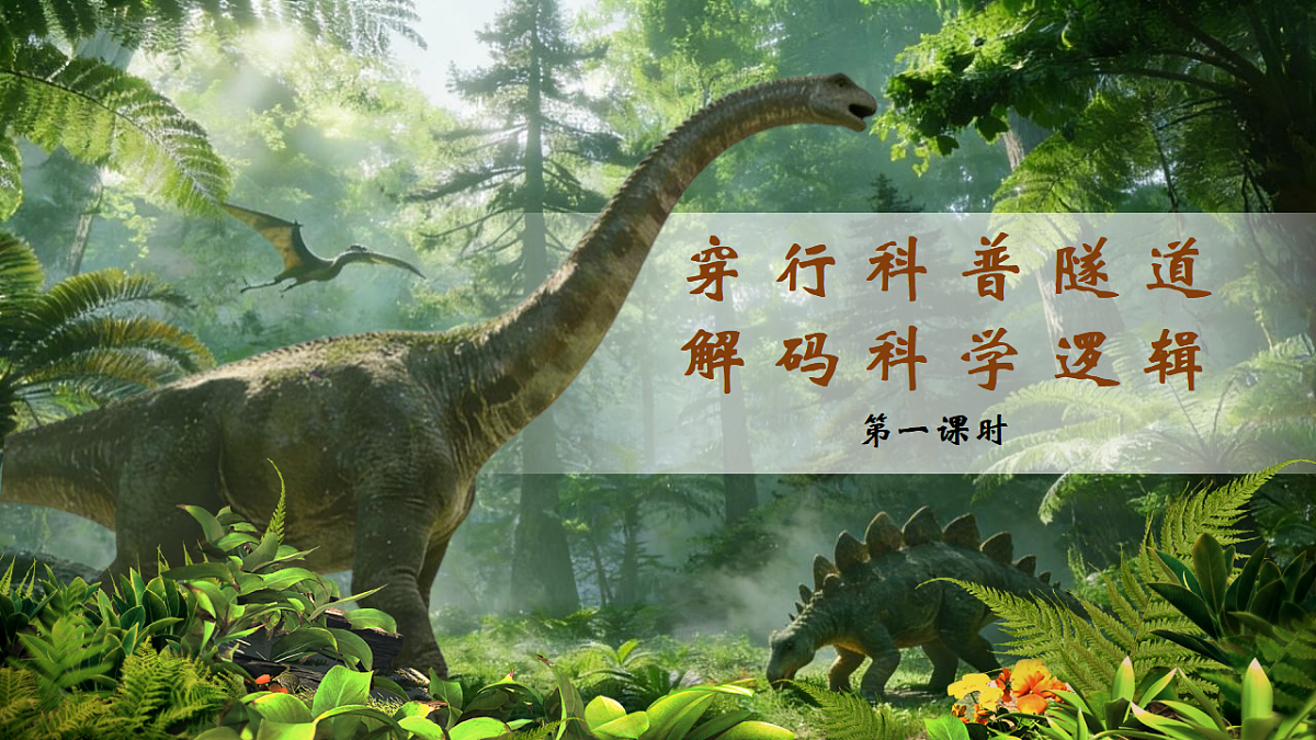 18393230第5页