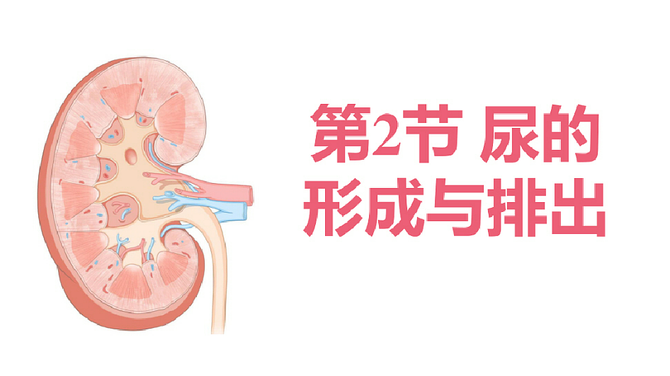 18393313第1页