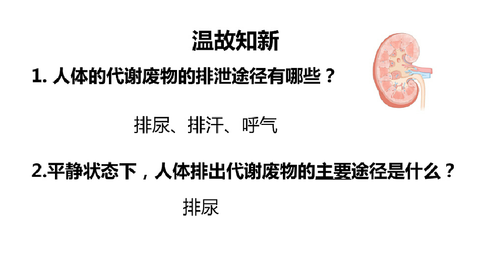 18393313第2页