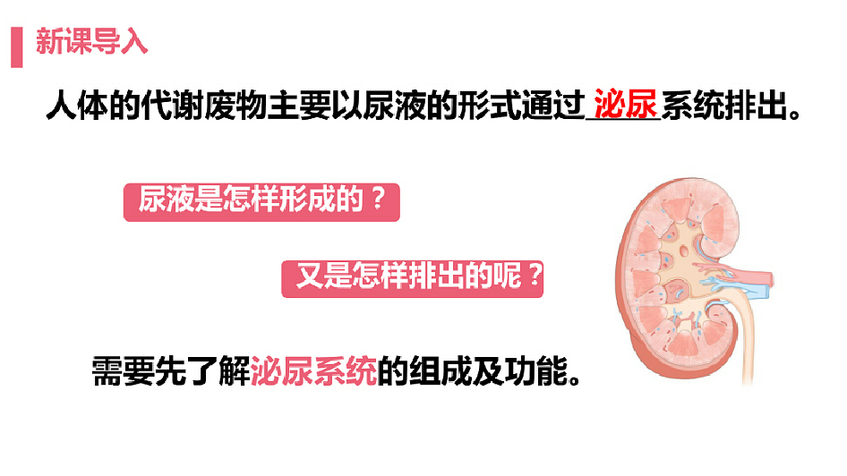 18393313第3页