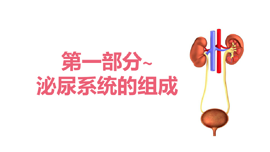 18393313第4页