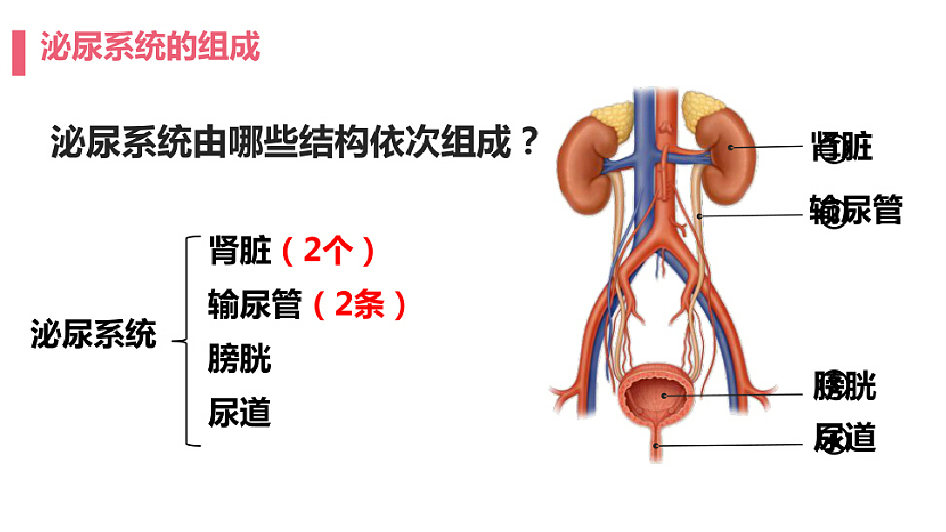 18393313第5页
