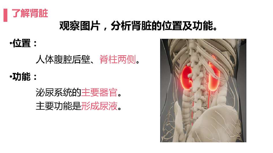 18393313第6页
