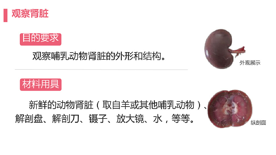 18393313第7页
