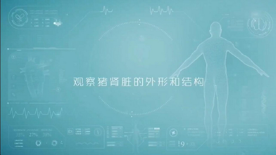 18393313第8页