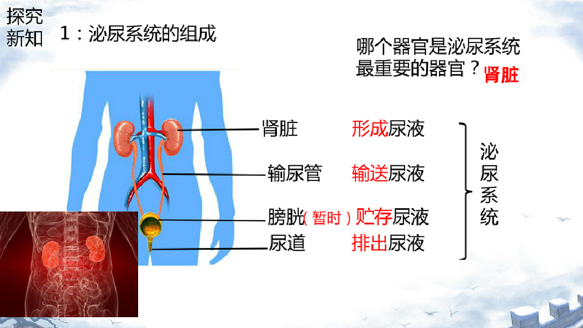 18393318第3页
