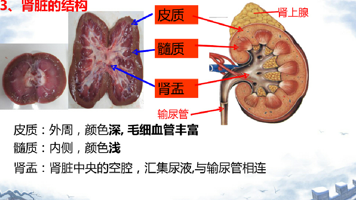 18393318第4页