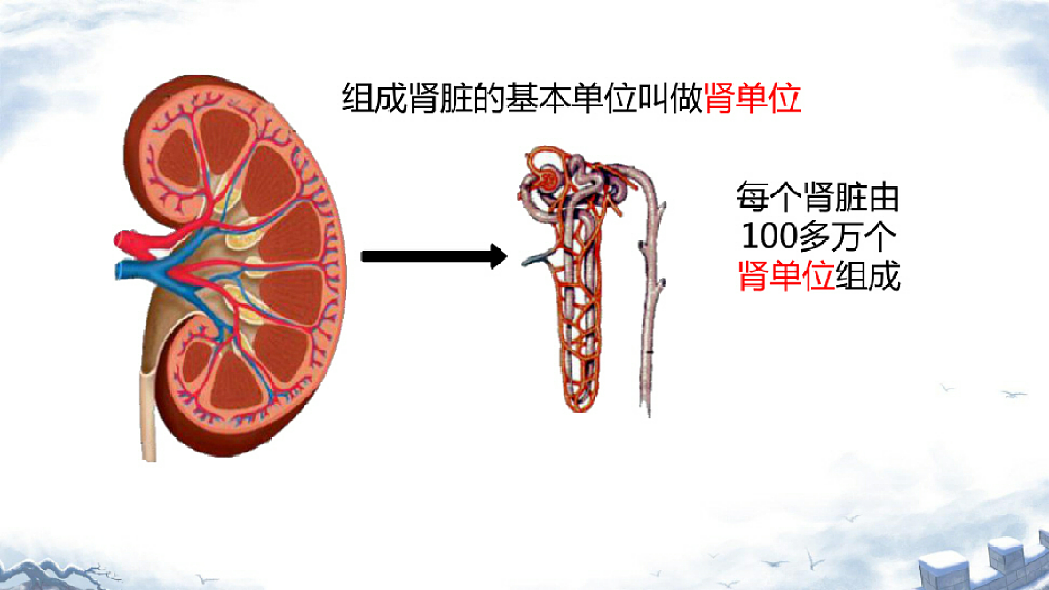 18393318第5页