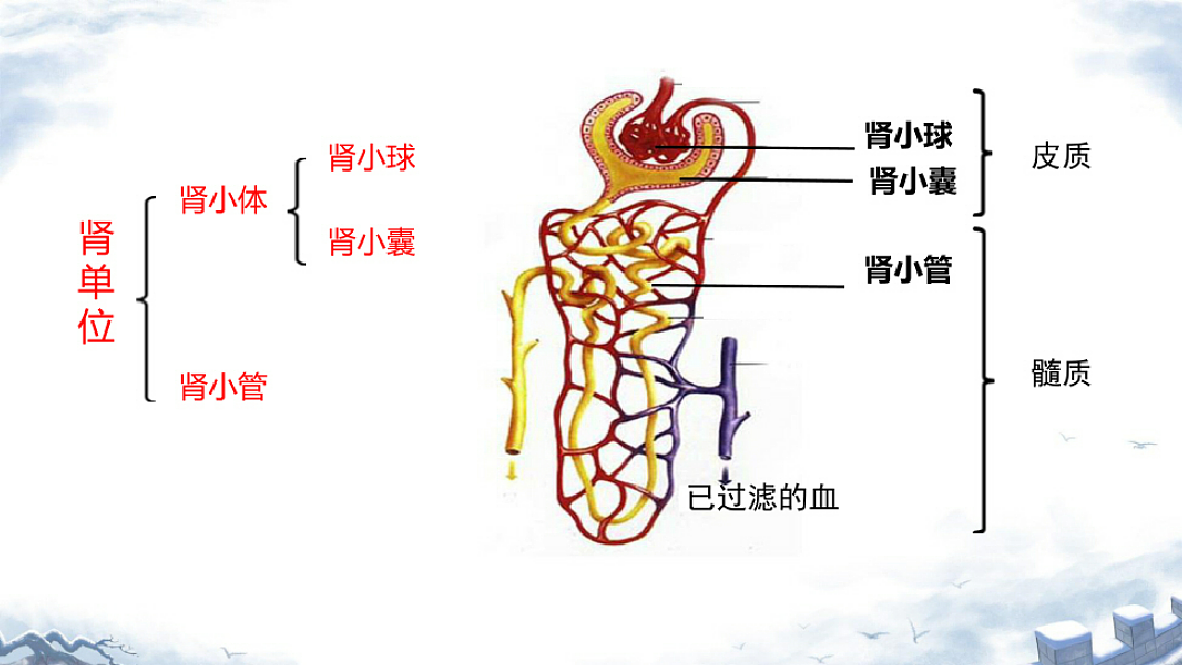 18393318第6页