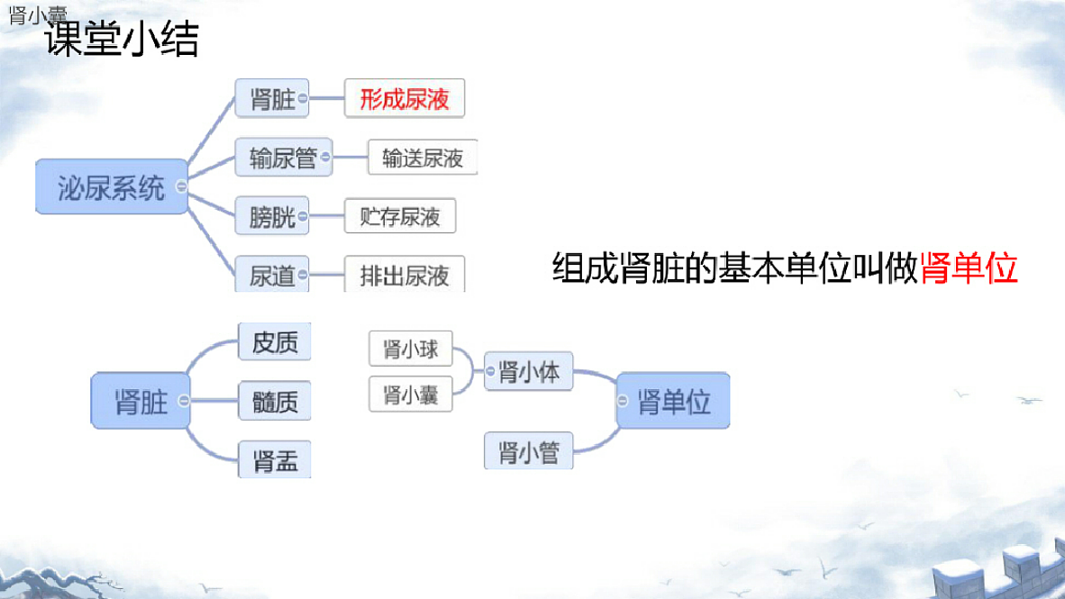18393318第7页