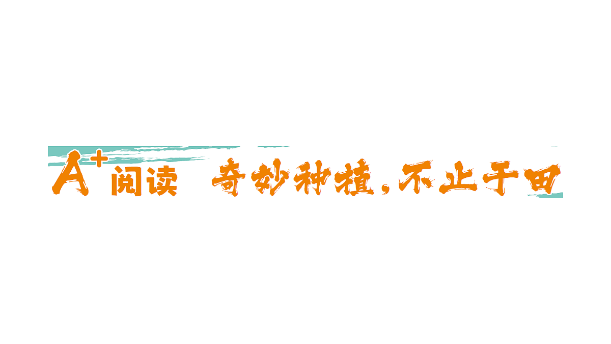 18393567第1页