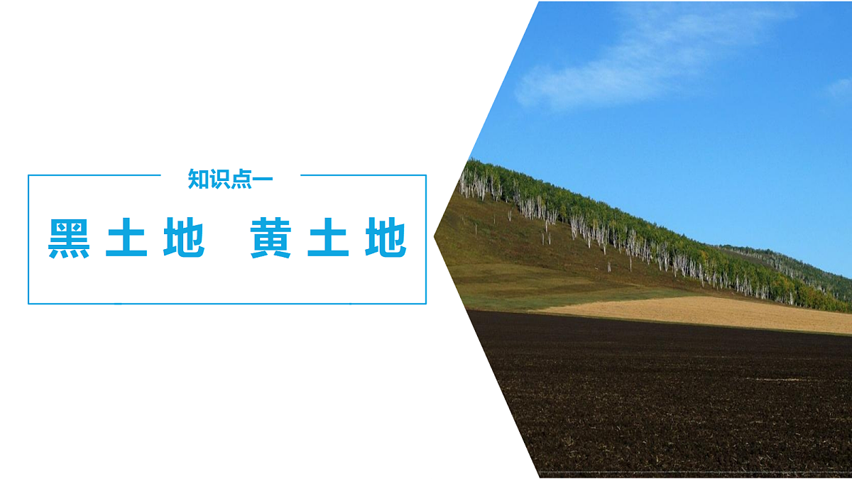 18394314第5页