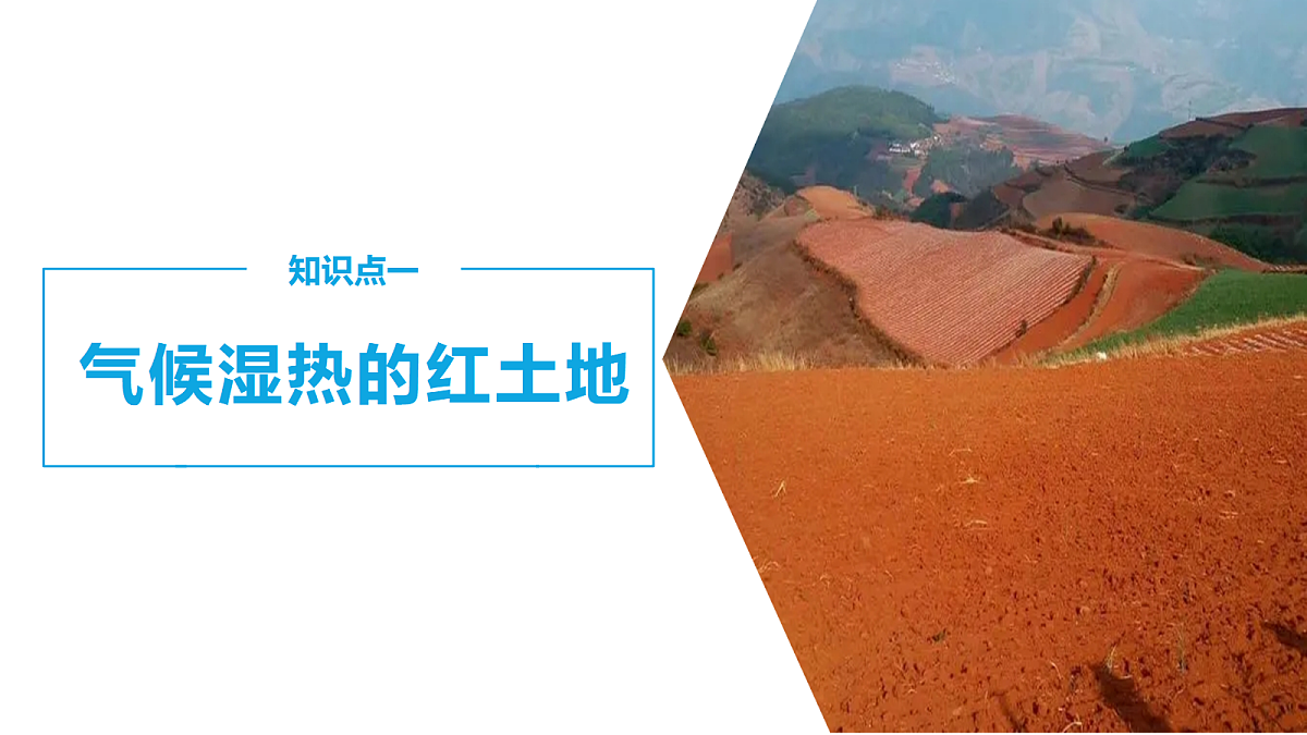 18394315第5页