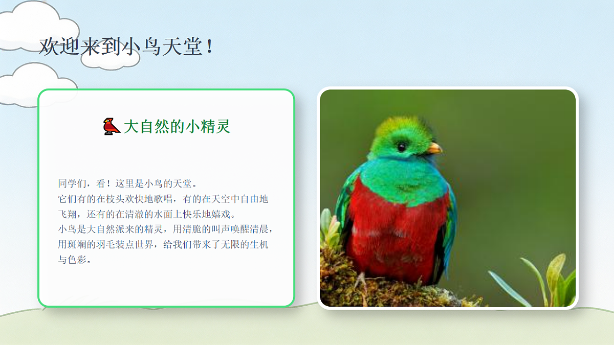 18394700第2页