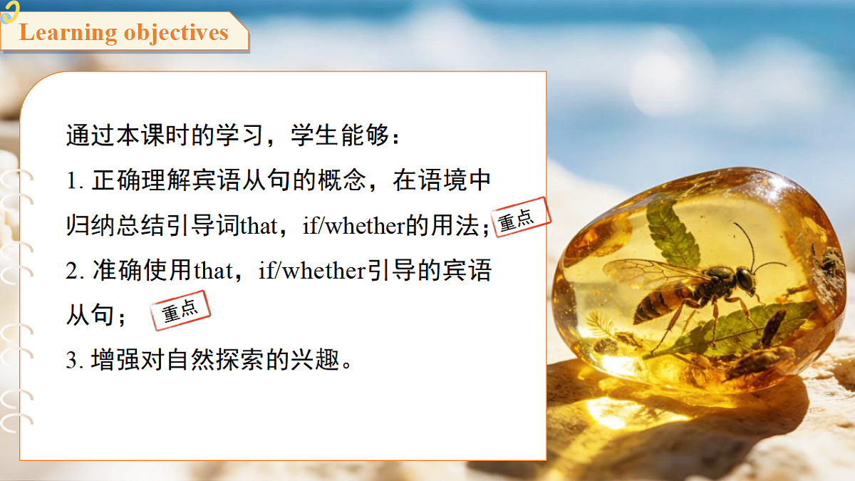 18396526第2页