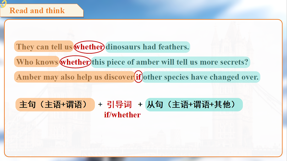 18396526第7页