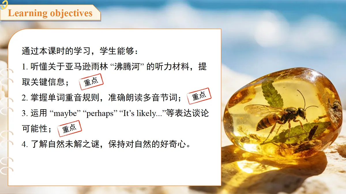 18396527第2页