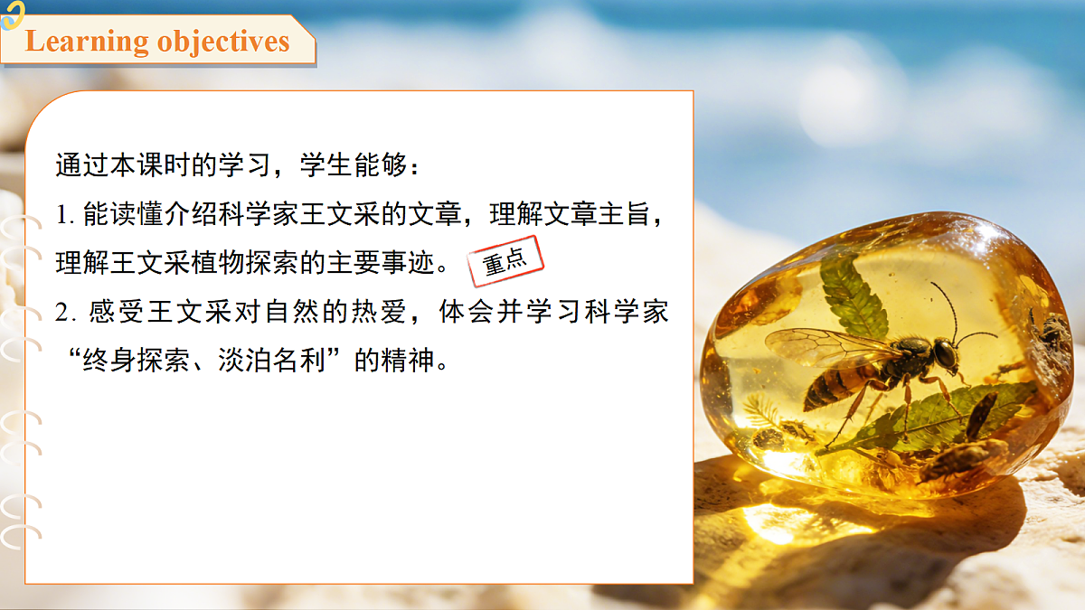 18396531第2页