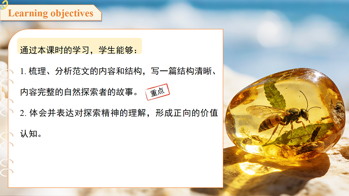 18396532第2页