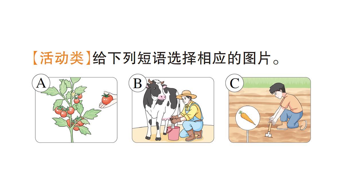 18397018第5页