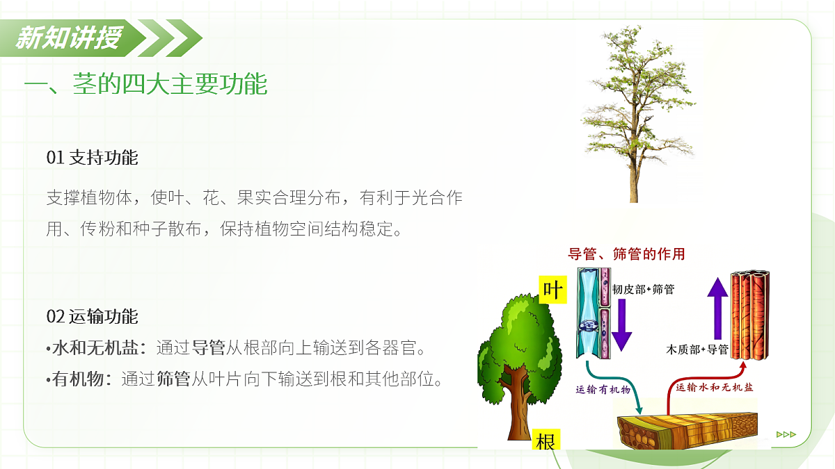 18397147第6页